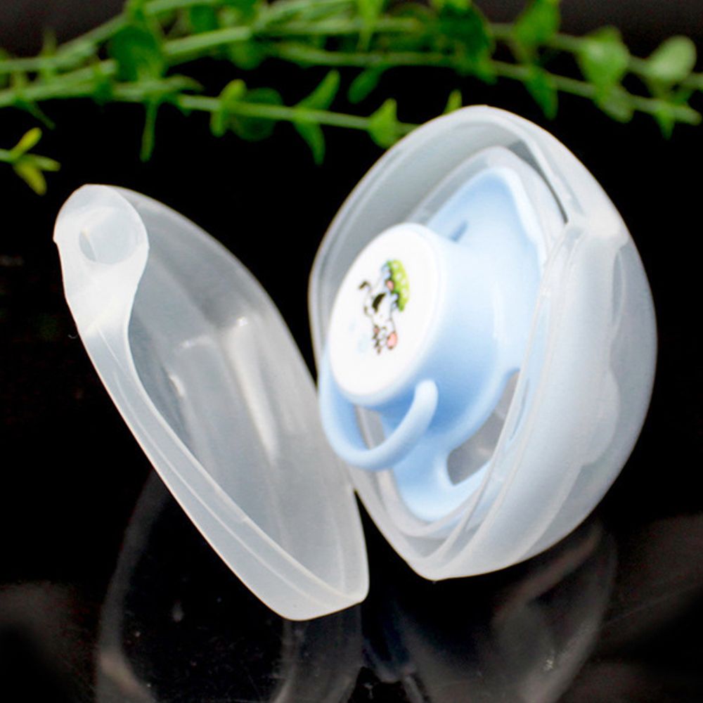 Transparante draagbare houderd - Baby Food Pacifier recensie en prijs