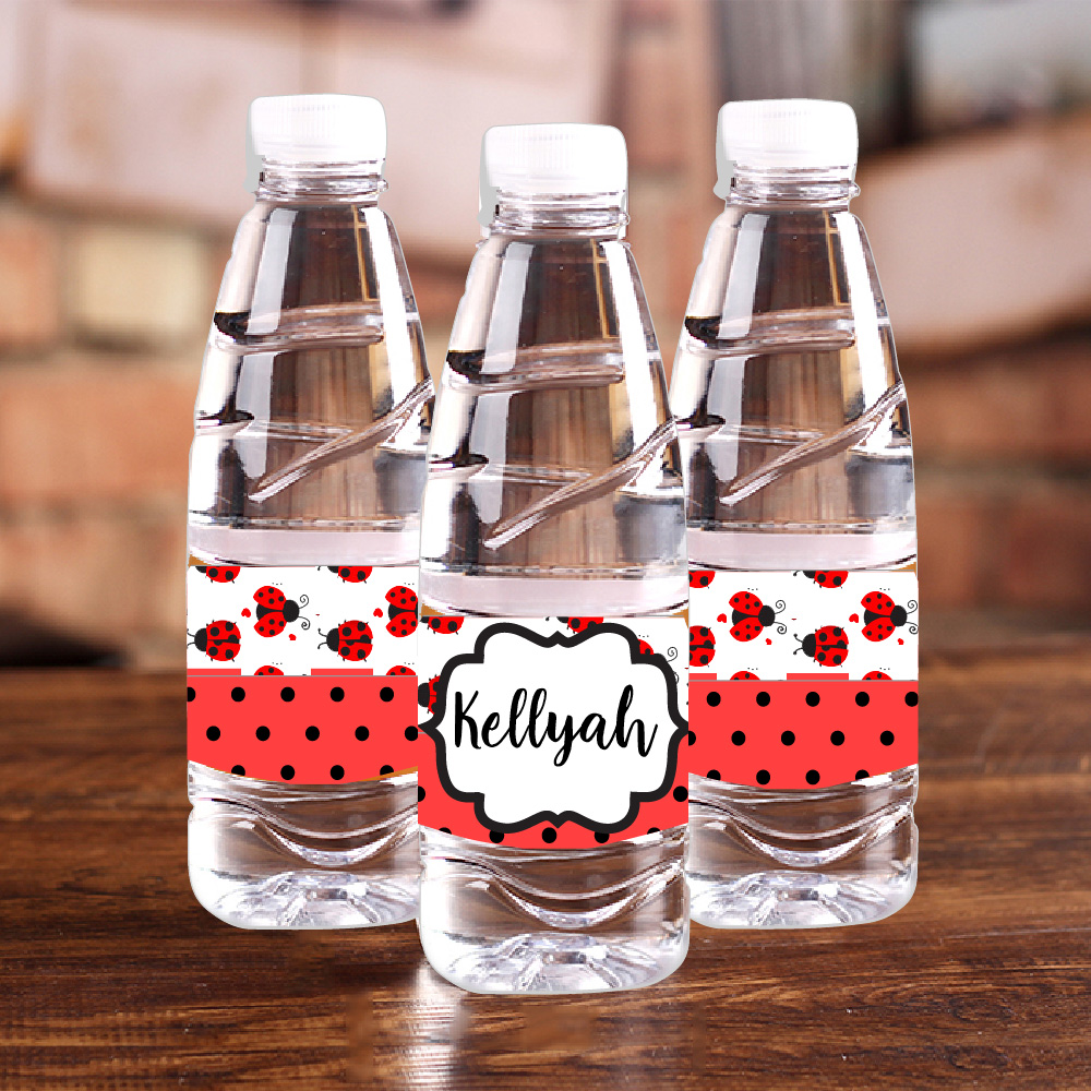Gepersonaliseerde lieveheersbe - Baby Food Bottle recensie en prijs